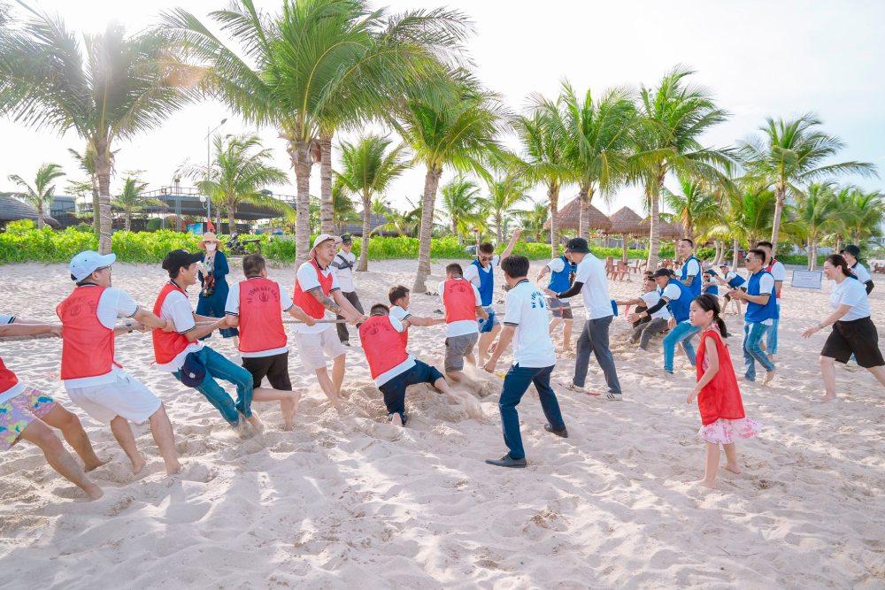 Chụp ảnh Teambuilding (2 - 4h)
